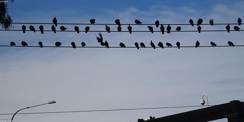 Geleceğin Güvenlik Teknolojisi: IP NVR Kayıt Cihazları ile Maksimum Koruma